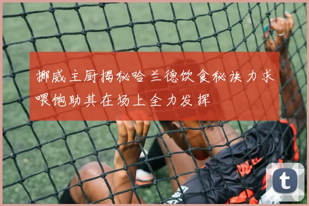 挪威主厨揭秘哈兰德饮食秘诀力求喂饱助其在场上全力发挥